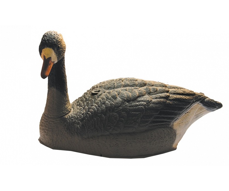 f9d2d5767f5291d0ac1c9efb6d029bef